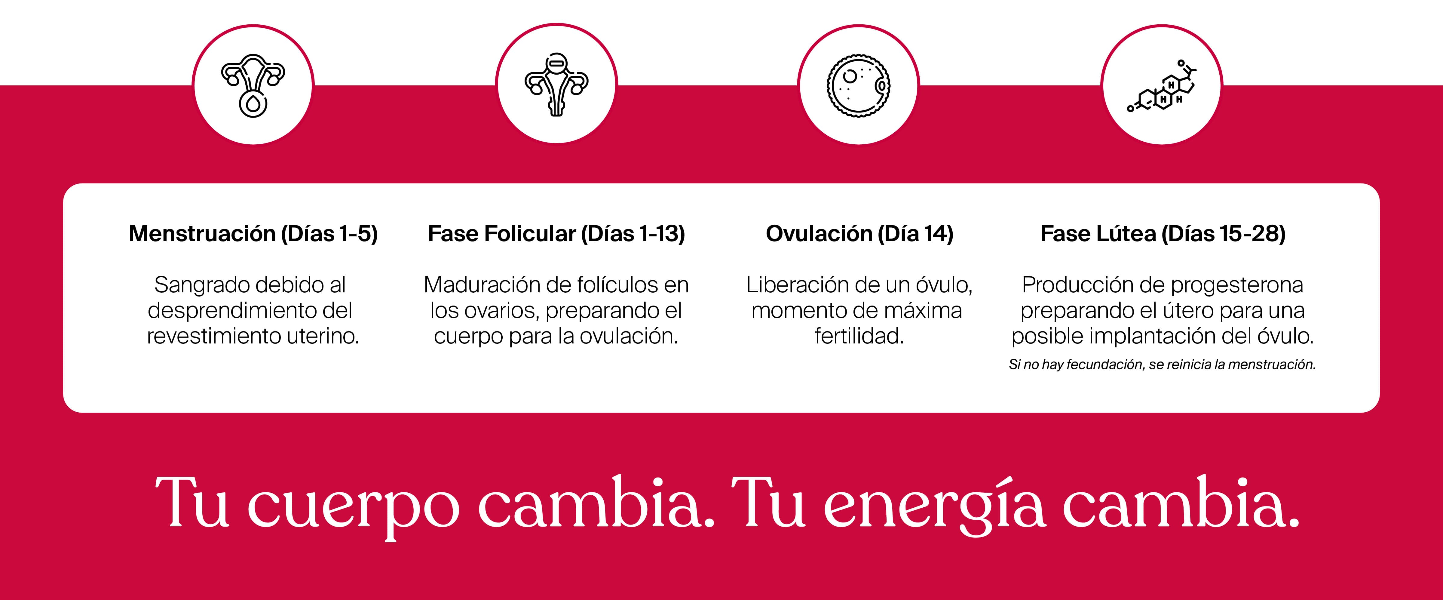 2025__Banner_Desktop_Savias_4