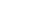 CEREBRO 