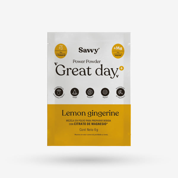 Sachet Great Day lemon gingerine