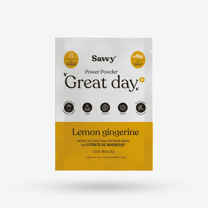 Sachet Great Day lemon gingerine
